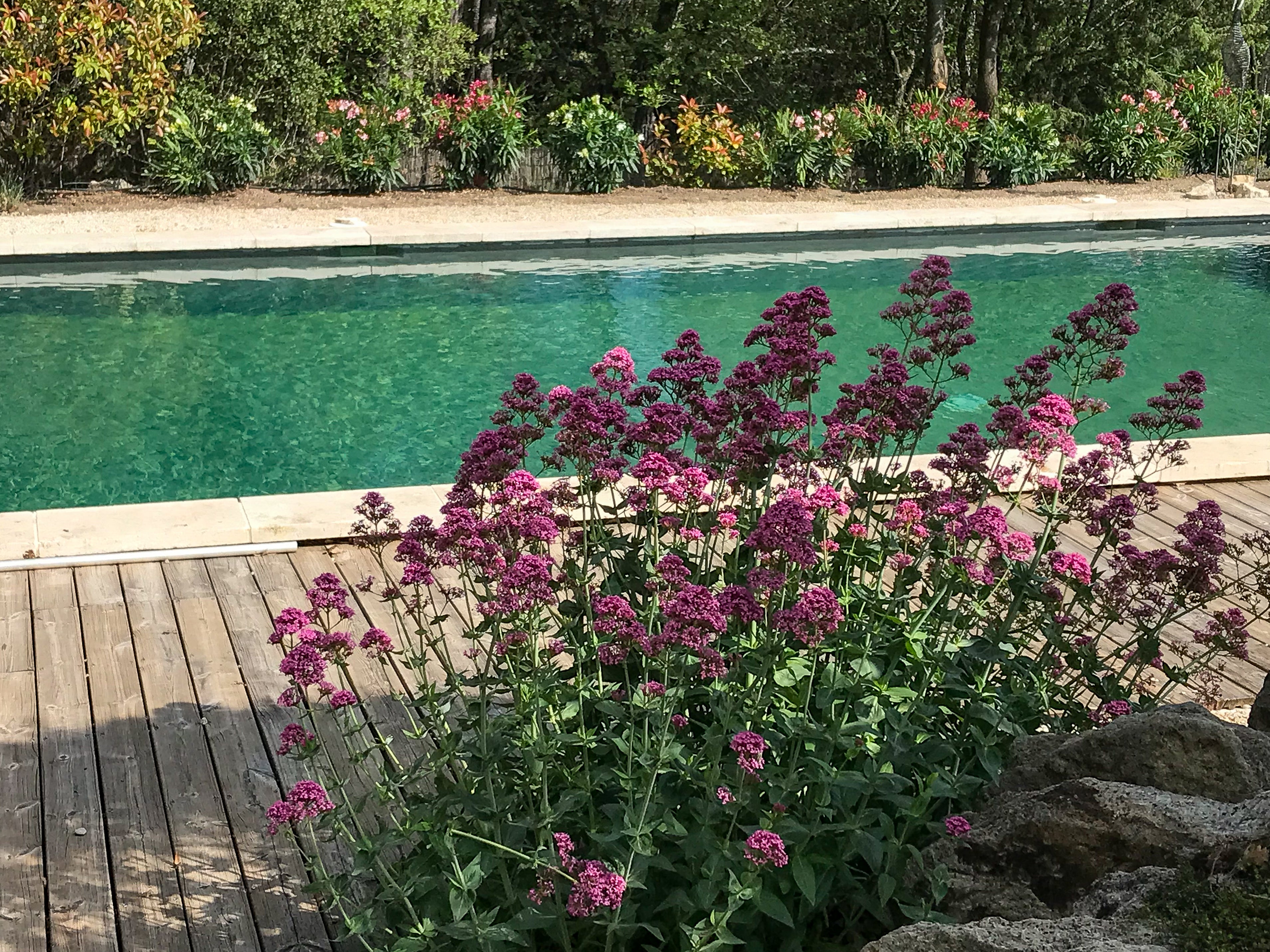 Mas au coeur du Luberon