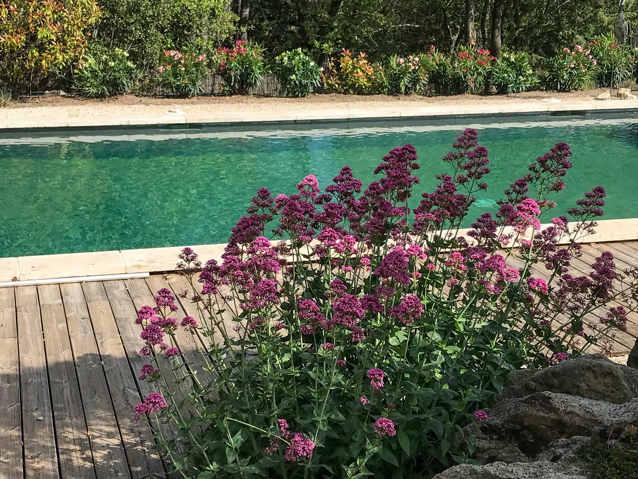 Mas au coeur du Luberon