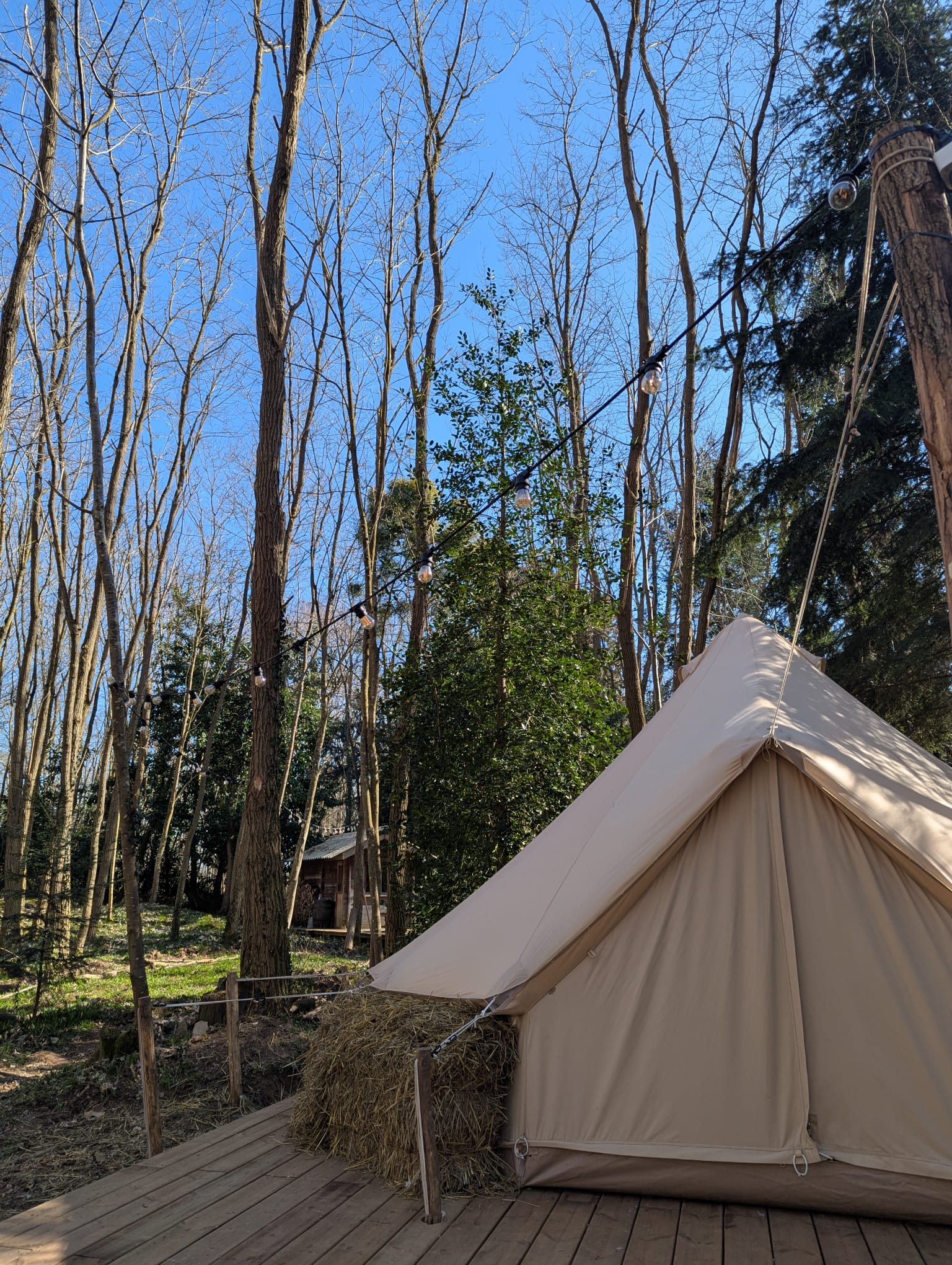 Bastide Forestière  aux Portes de Paris