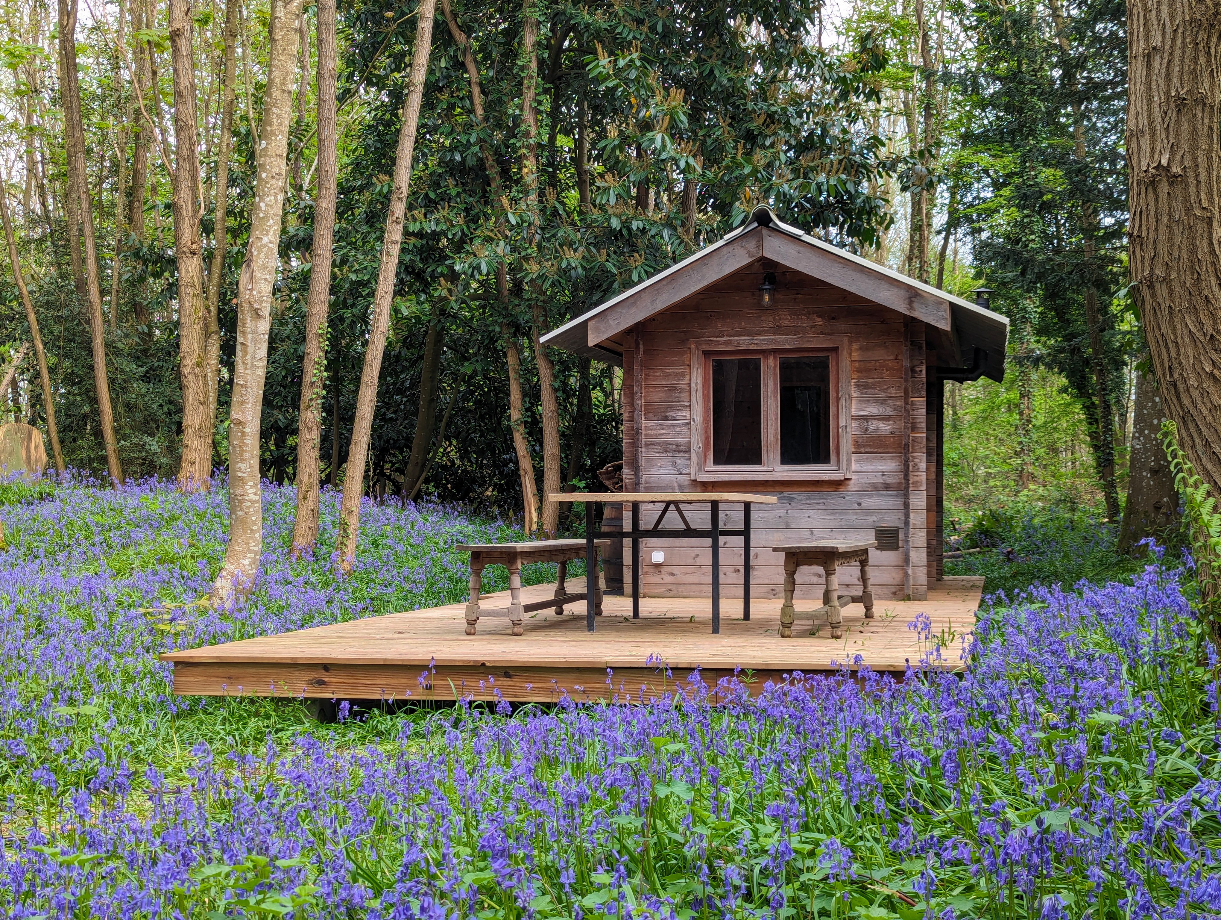 Bastide Forestière  aux Portes de Paris